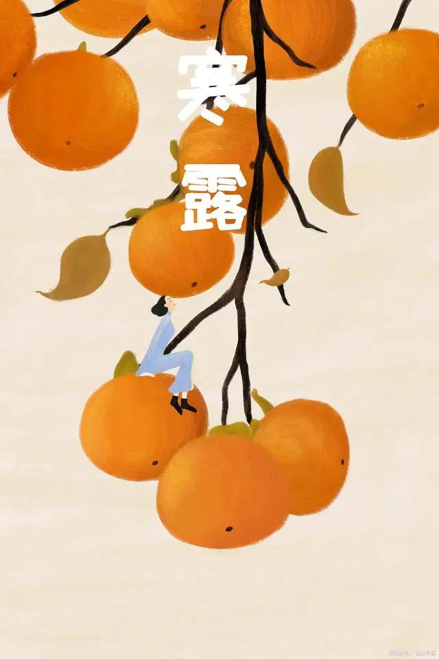 1665198765158371.jpg e0e5a2ce60d00ac5d73c63ad752e0fd.jpg