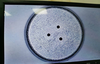 1693376880396469.jpg WechatIMG1_副本.jpg